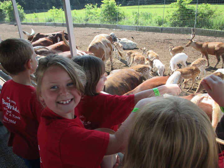 Akron Zoo Field Trip