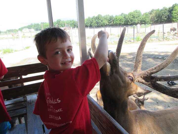 Akron Zoo Field Trip