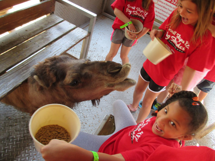 Akron Zoo Field Trip