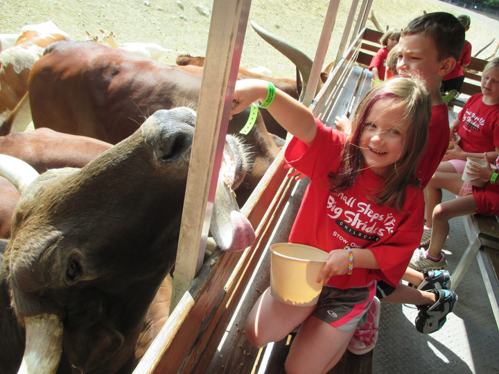 Akron Zoo Field Trip